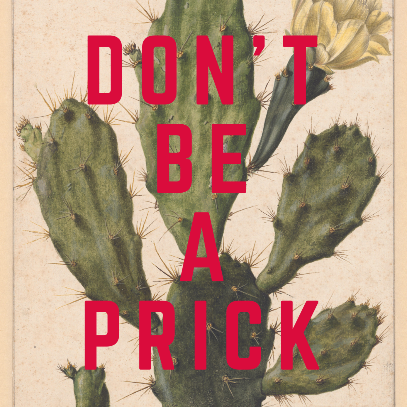 Vintage cactus illustration, with DON'T BE A PRICK in red, capital letters, quirky sweary wall art print