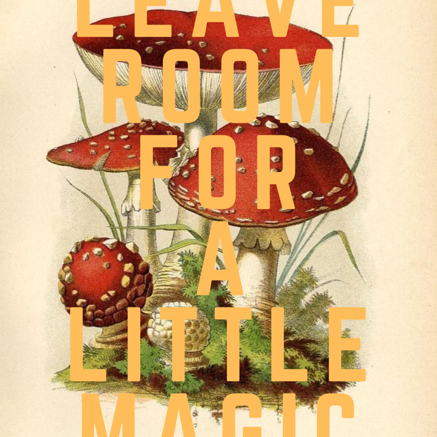 Vintage mushroom illustration with LEAVE ROOM FOR A LITTLE MAGIC, written in yellow, capital letters, quirky wall art print