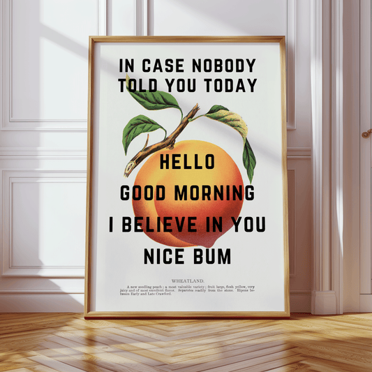 Vintage peach illustration with INCASE NOBODY TOLD YOU TODAY, HELLO, GOOD  MORNING, I BELIEVE IN YOU, NICE BUM, written in black capital letters, quirky gallery wall art print