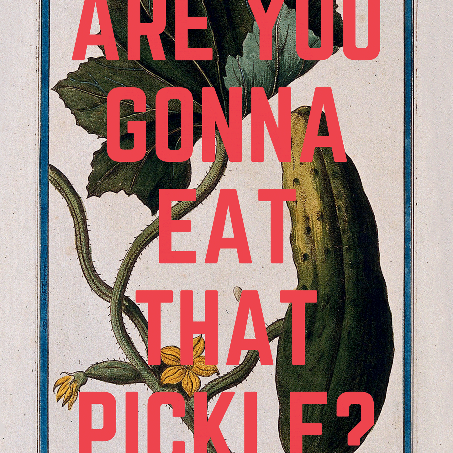 Pickle Lover quirky wall art - ARE YOU GONNA EAT THAT PICKLE?