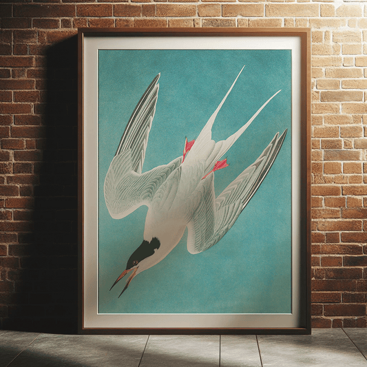 Tern - Vintage Illustration Print