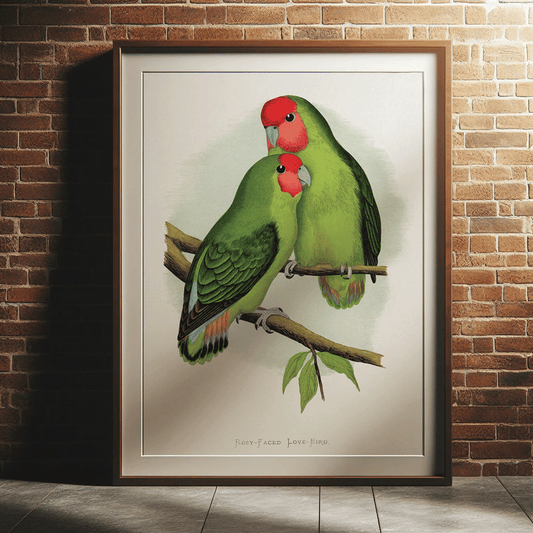 Love Birds - Vintage Illustration Print