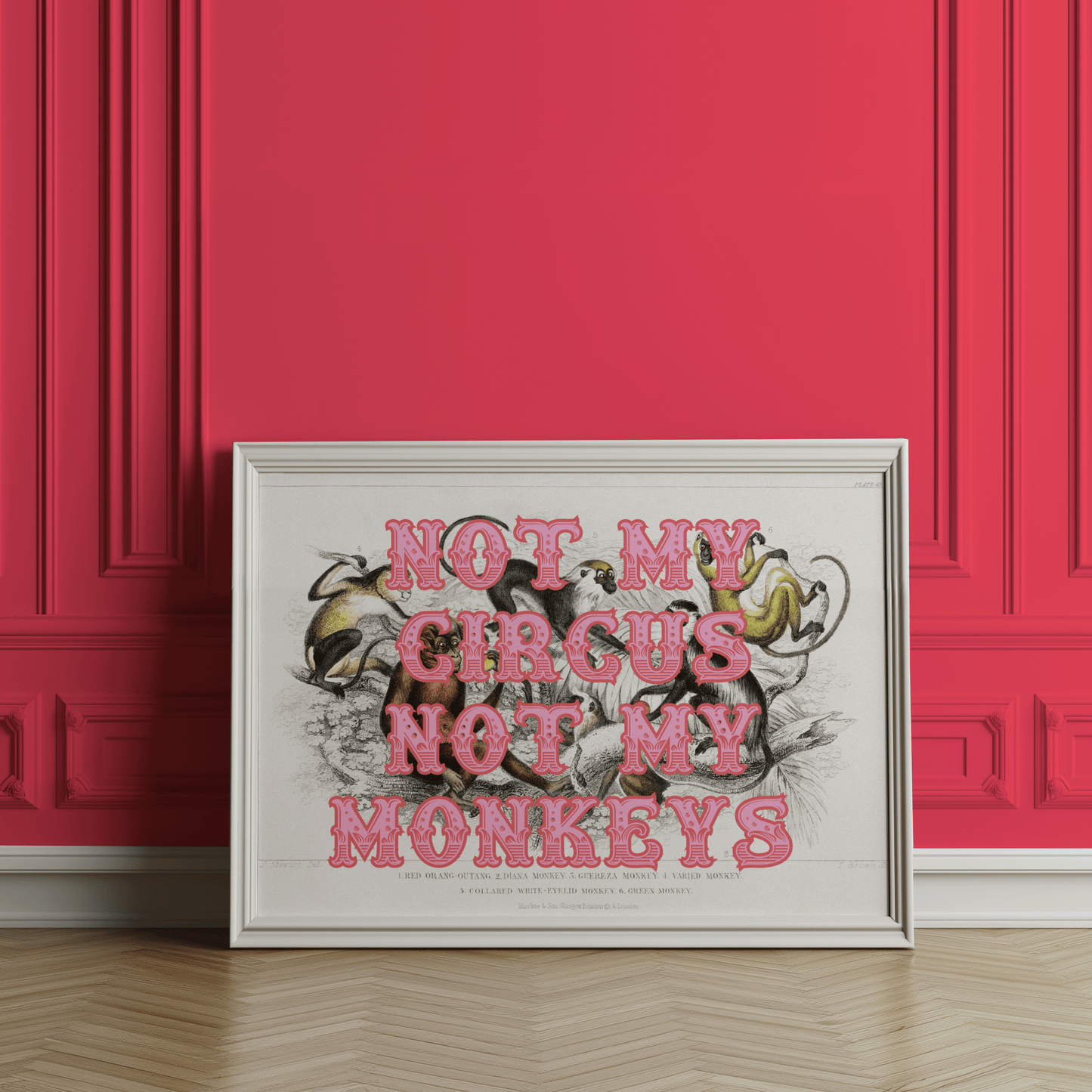 Not My Circus Not My Monkeys - Quirky Print